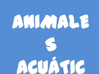 ANIMALE
   S
ACUÁTIC
 