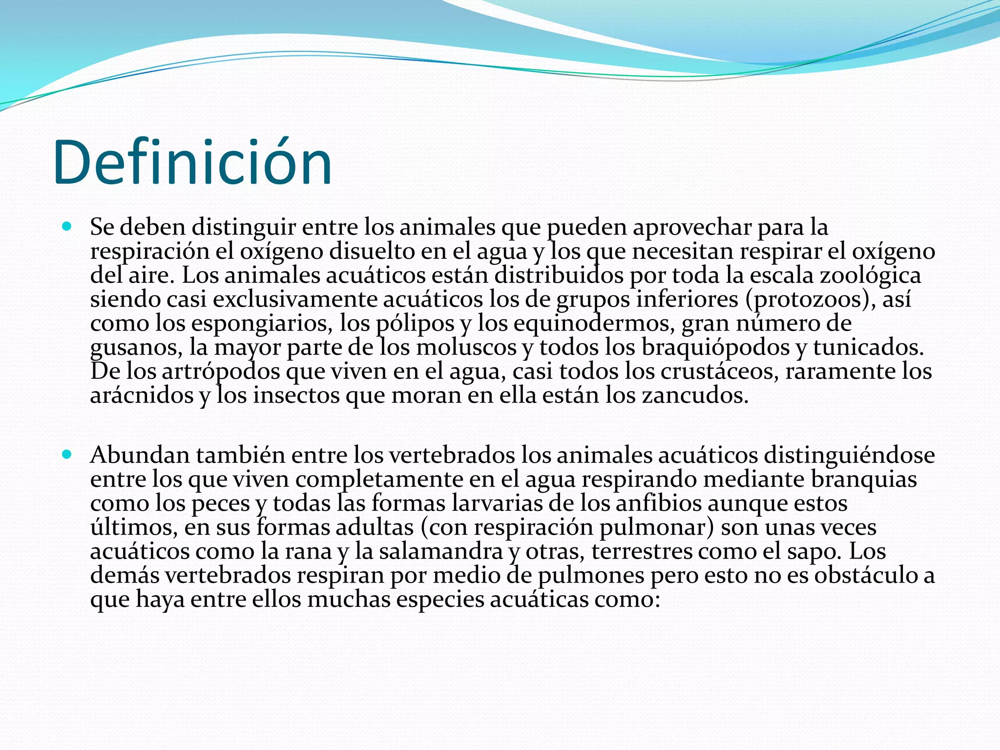 Animales acuaticos | PPTX