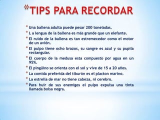 * Una ballena adulta puede pesar 200 toneladas.
* L a lengua de la ballena es más grande que un elefante.
* El ruido de la ballena es tan estremecedor como el motor
de un avión.
* El pulpo tiene ocho brazos, su sangre es azul y su pupila
rectangular.
* El cuerpo de la medusa esta compuesto por agua en un
95%.
* El pingüino se orienta con el sol y vive de 15 a 20 años.
* La comida preferida del tiburón es el placton marino.
* La estrella de mar no tiene cabeza, ni cerebro.
* Para huir de sus enemigos el pulpo expulsa una tinta
llamada bolsa negra.
 