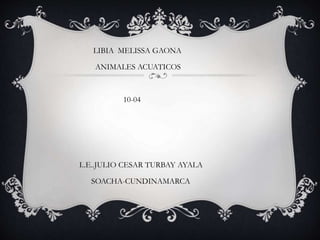 LIBIA MELISSA GAONA
ANIMALES ACUATICOS
10-04
I..E..JULIO CESAR TURBAY AYALA
SOACHA-CUNDINAMARCA
 