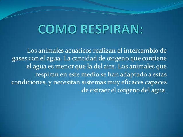 Animales acuaticos diapositivas