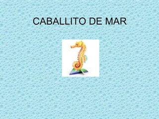 CABALLITO DE MAR 