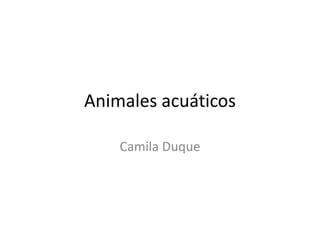 Animales acuáticos
Camila Duque

 