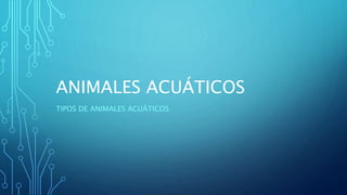 ANIMALES ACUÁTICOS
TIPOS DE ANIMALES ACUÁTICOS
 
