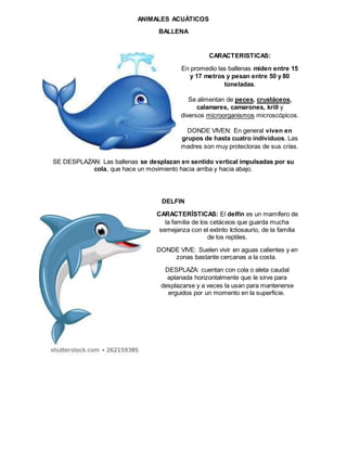 ANIMALES ACUÁTICOS
BALLENA
CARACTERISTICAS:
En promedio las ballenas miden entre 15
y 17 metros y pesan entre 50 y 80
toneladas.
Se alimentan de peces, crustáceos,
calamares, camarones, krill y
diversos microorganismos microscópicos.
DONDE VIVEN: En general viven en
grupos de hasta cuatro individuos. Las
madres son muy protectoras de sus crías.
SE DESPLAZAN: Las ballenas se desplazan en sentido vertical impulsadas por su
cola, que hace un movimiento hacia arriba y hacia abajo.
DELFIN
CARACTERÍSTICAS: El delfín es un mamífero de
la familia de los cetáceos que guarda mucha
semejanza con el extinto Ictiosaurio, de la familia
de los reptiles.
DONDE VIVE: Suelen vivir en aguas calientes y en
zonas bastante cercanas a la costa.
DESPLAZA: cuentan con cola o aleta caudal
aplanada horizontalmente que le sirve para
desplazarse y a veces la usan para mantenerse
erguidos por un momento en la superficie.
 