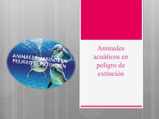 Animales
acuáticos en
peligro de
extinción
 
