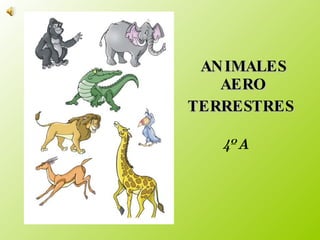 ANIMALES AERO TERRESTRES   4º A 