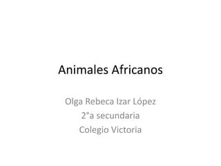 Animales Africanos 
Olga Rebeca Izar López 
2°a secundaria 
Colegio Victoria 
 