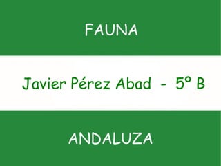 FAUNA ANDALUZA Javier Pérez Abad  -  5º B 