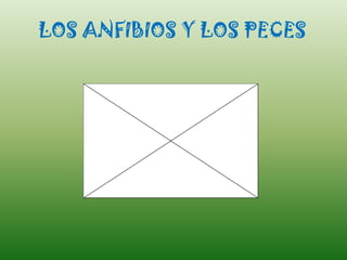 LOS ANFIBIOS Y LOS PECES

 