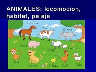 ANIMALES: locomocion,
habitat, pelaje

 