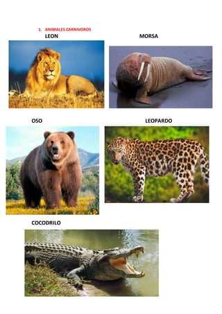 1. ANIMALES CARNIVOROS
LEON MORSA
OSO LEOPARDO
COCODRILO
 