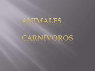 1 Animales  carnívoros 