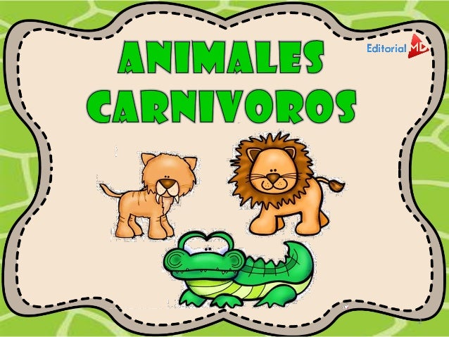 Animales Carnivoros Herbivoros Y Obnivoros
