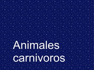 Animales
carnivoros
 