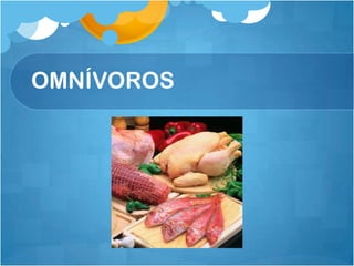 OMNÍVOROS
 