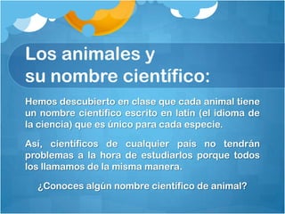 Los animales y
su nombre científico:
Hemos descubierto en clase que cada animal tiene
un nombre científico escrito en latín (el idioma de
la ciencia) que es único para cada especie.

Así, científicos de cualquier país no tendrán
problemas a la hora de estudiarlos porque todos
los llamamos de la misma manera.

  ¿Conoces algún nombre científico de animal?
 