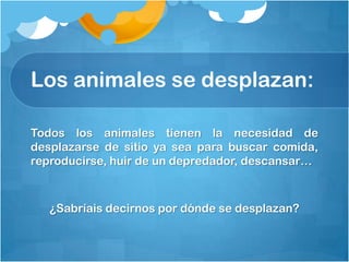 Los animales se desplazan:

Todos los animales tienen la necesidad de
desplazarse de sitio ya sea para buscar comida,
reproducirse, huir de un depredador, descansar…



   ¿Sabríais decirnos por dónde se desplazan?
 