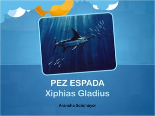 PEZ ESPADA
Xiphias Gladius
   Arancha Sotomayor
 