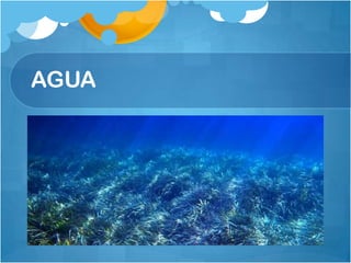 AGUA
 