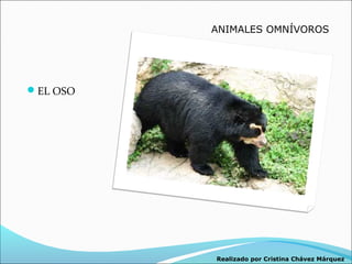 ANIMALES OMNÍVOROS




EL OSO




          Realizado por Cristina Chávez Márquez
 