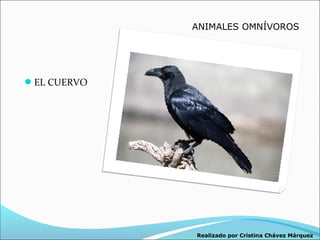 ANIMALES OMNÍVOROS




EL CUERVO




             Realizado por Cristina Chávez Márquez
 