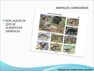 ANIMALES CARNIVOROS



SON AQUELOS
 QUE SE
 ALIMENTAN
 ANIMALES




                Realizado por Cristina Chávez Márquez
 
