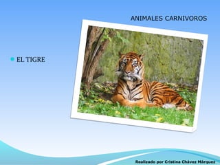 ANIMALES CARNIVOROS




EL TIGRE




             Realizado por Cristina Chávez Márquez
 