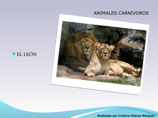 ANIMALES CARNIVOROS




EL LEÓN




            Realizado por Cristina Chávez Márquez
 