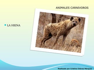 ANIMALES CARNIVOROS




LA HIENA




             Realizado por Cristina Chávez Márquez
 