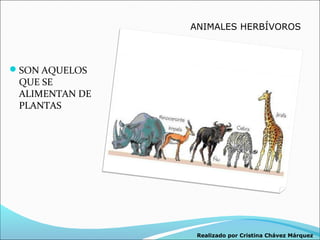ANIMALES HERBÍVOROS



SON AQUELOS
 QUE SE
 ALIMENTAN DE
 PLANTAS




                 Realizado por Cristina Chávez Márquez
 