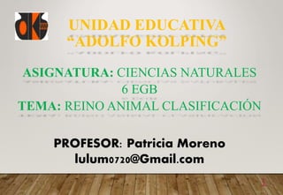 UNIDAD EDUCATIVA
“ADOLFO KOLPING”
1
ASIGNATURA: CIENCIAS NATURALES
6 EGB
TEMA: REINO ANIMAL CLASIFICACIÓN
PROFESOR: Patricia Moreno
lulum0720@Gmail.com
 