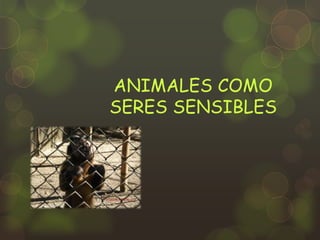 ANIMALES COMO
SERES SENSIBLES
 