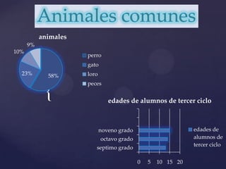 Animales comunes 