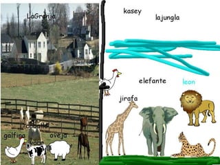 Animales con pixie