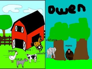 Animales con pixie