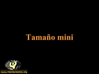 Tamaño mini 