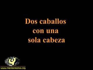 Dos caballos  con una  sola cabeza 