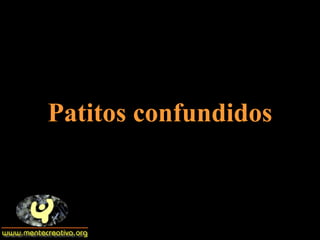 Patitos confundidos 