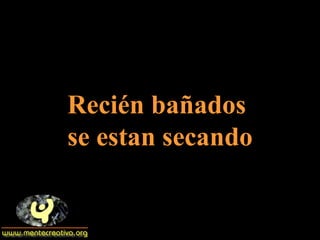 Recién bañados  se estan secando 
