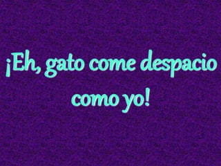 ¡Eh, gato come despacio
como yo!
 