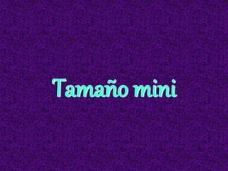 Tamaño mini
 