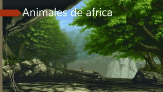 Animales de africa
 