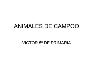 ANIMALES DE CAMPOO VICTOR 5º DE PRIMARIA 