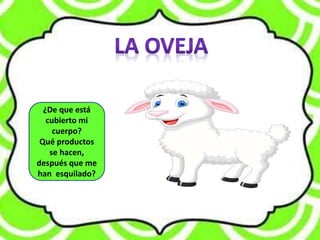 ¿De que está
cubierto mi
cuerpo?
Qué productos
se hacen,
después que me
han esquilado?
 