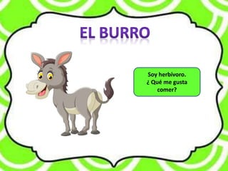 Soy herbívoro.
¿ Qué me gusta
comer?
 