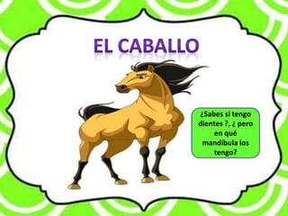 ¿Sabes si tengo
dientes ?, ¿ pero
en qué
mandíbula los
tengo?
 