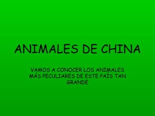 ANIMALES DE CHINA
VAMOS A CONOCER LOS ANIMALES
MÁS PECULIARES DE ESTE PAÍS TAN
GRANDE
 
