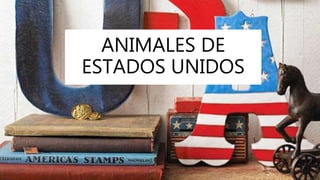 ANIMALES DE
ESTADOS UNIDOS
 