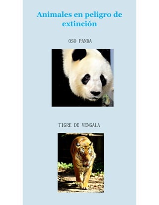 Animales en peligro de
extinción
OSO PANDA
TIGRE DE VENGALA
 